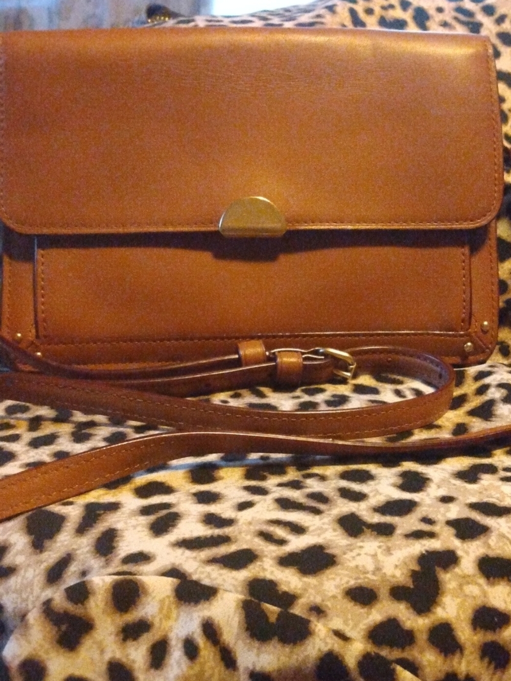Coach Camel Brown Leather Crossbody with Gold-Tone Clasp dreamer style